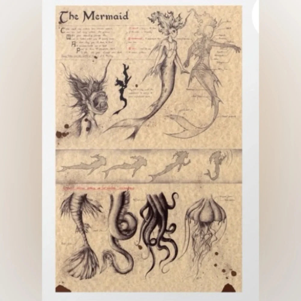 Zellgarm Artistic Mermaid Sea Creature Sketch Poster